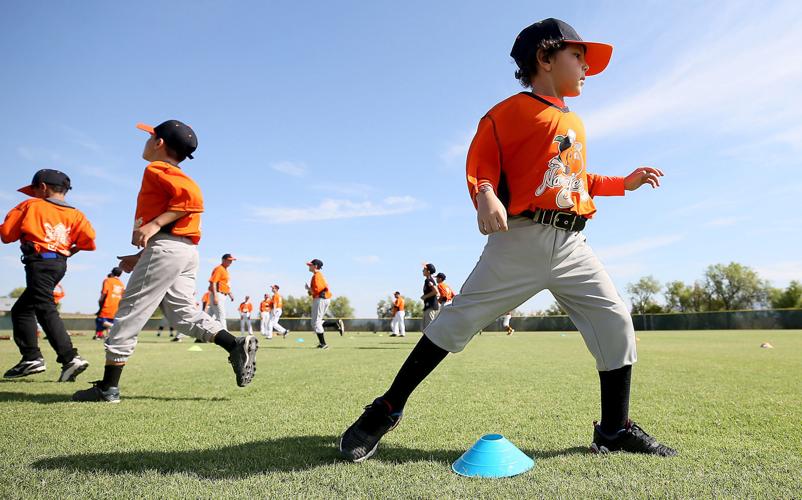 Baseball Clinic
