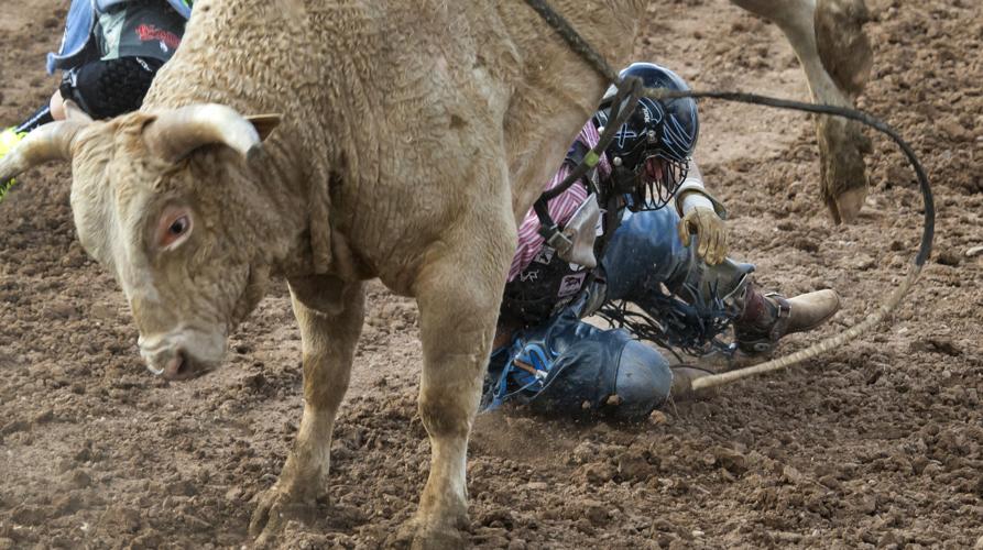 95th Annual La Fiesta de los Vaqueros Tucson Rodeo final day
