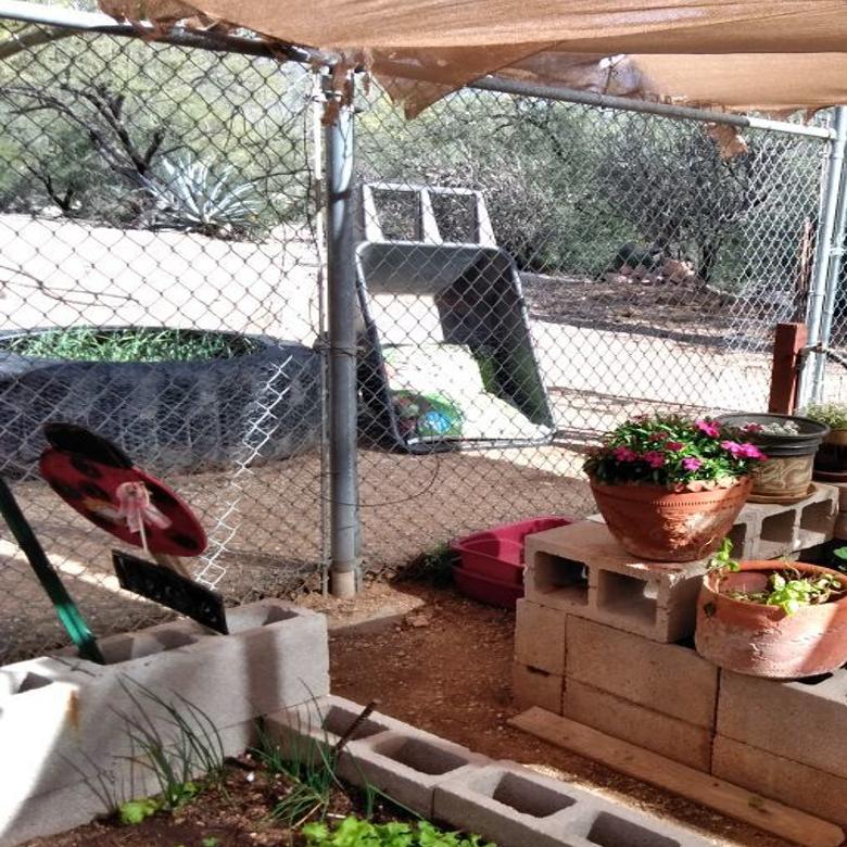 Local Resources Zero In On Issues That Crop Up While Gardening In The Sonoran Desert Home Garden Tucson Com