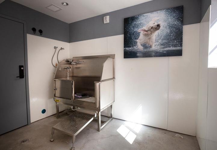 Makeover of iconic Tucson monastery into apartments nearly complete