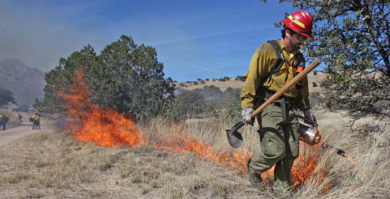 Prescribed burn
