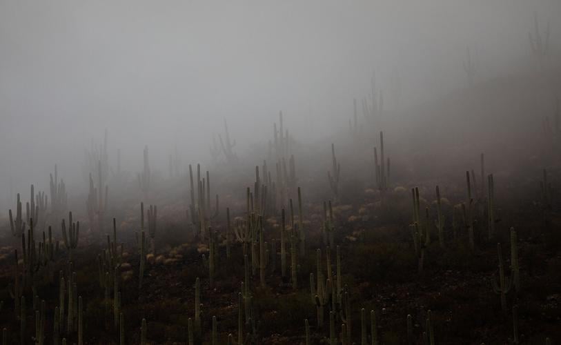 Tuesday morning in Tucson will be season's coldest