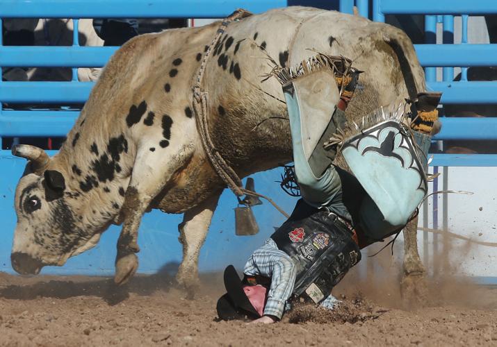 2016 Tucson Rodeo