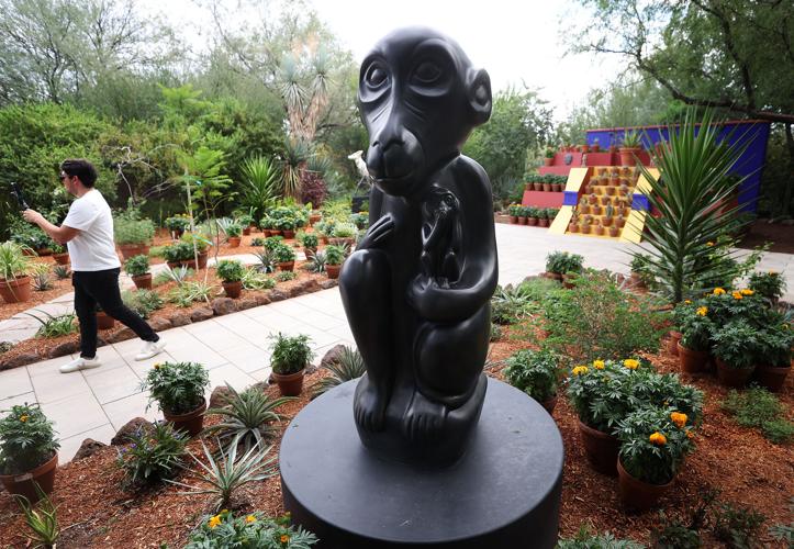 Frida's Garden at Tucson Botanical Gardens