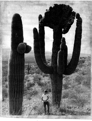 These big guys were contemporaries of "Old Granddaddy"   