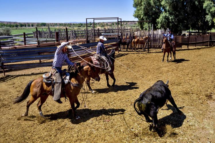 Ranching Standoff 10 Years Later