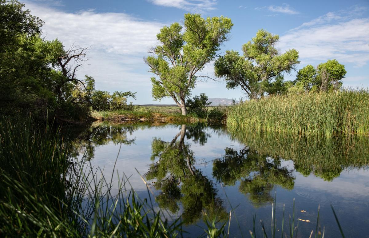Border Wall, San Bernardino National Wildlife Refuge
