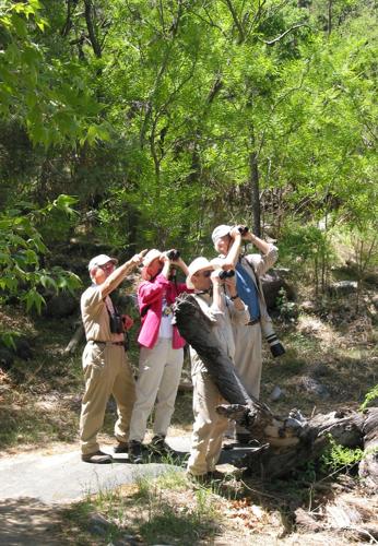 Top trails: Accessible Trail