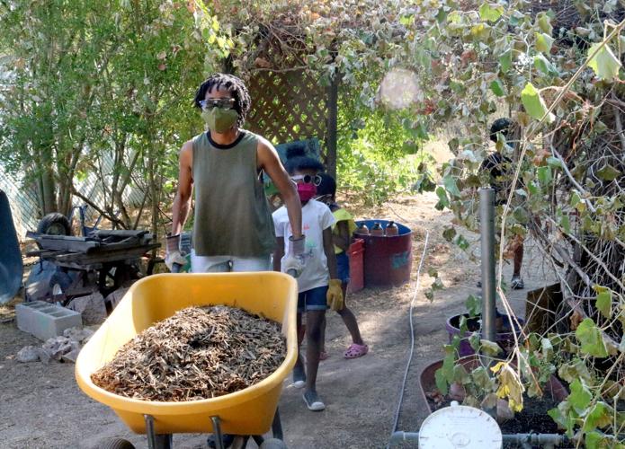 Davis Elementary School Garden