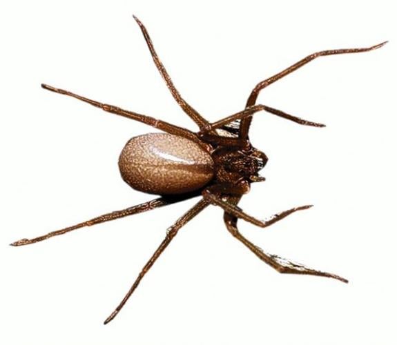 The frights of spring  