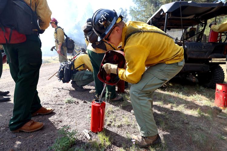 How prescribed burns protect forests in northern Arizona