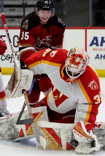 Roadrunners vs Calgary, AHL hockey (copy)