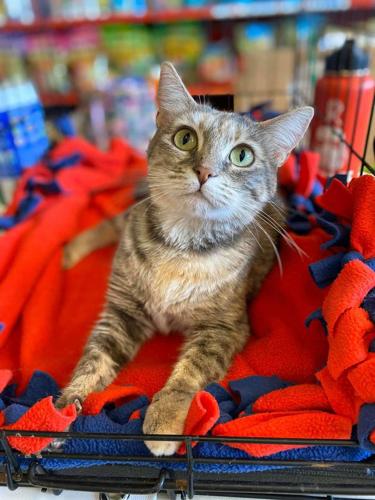 Adopt a friend: Grandma