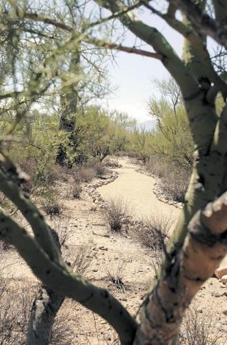 Hard-to-find desert park is wonderful spot for a stroll  