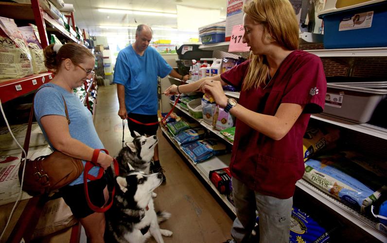 Animal Fair shot clinic