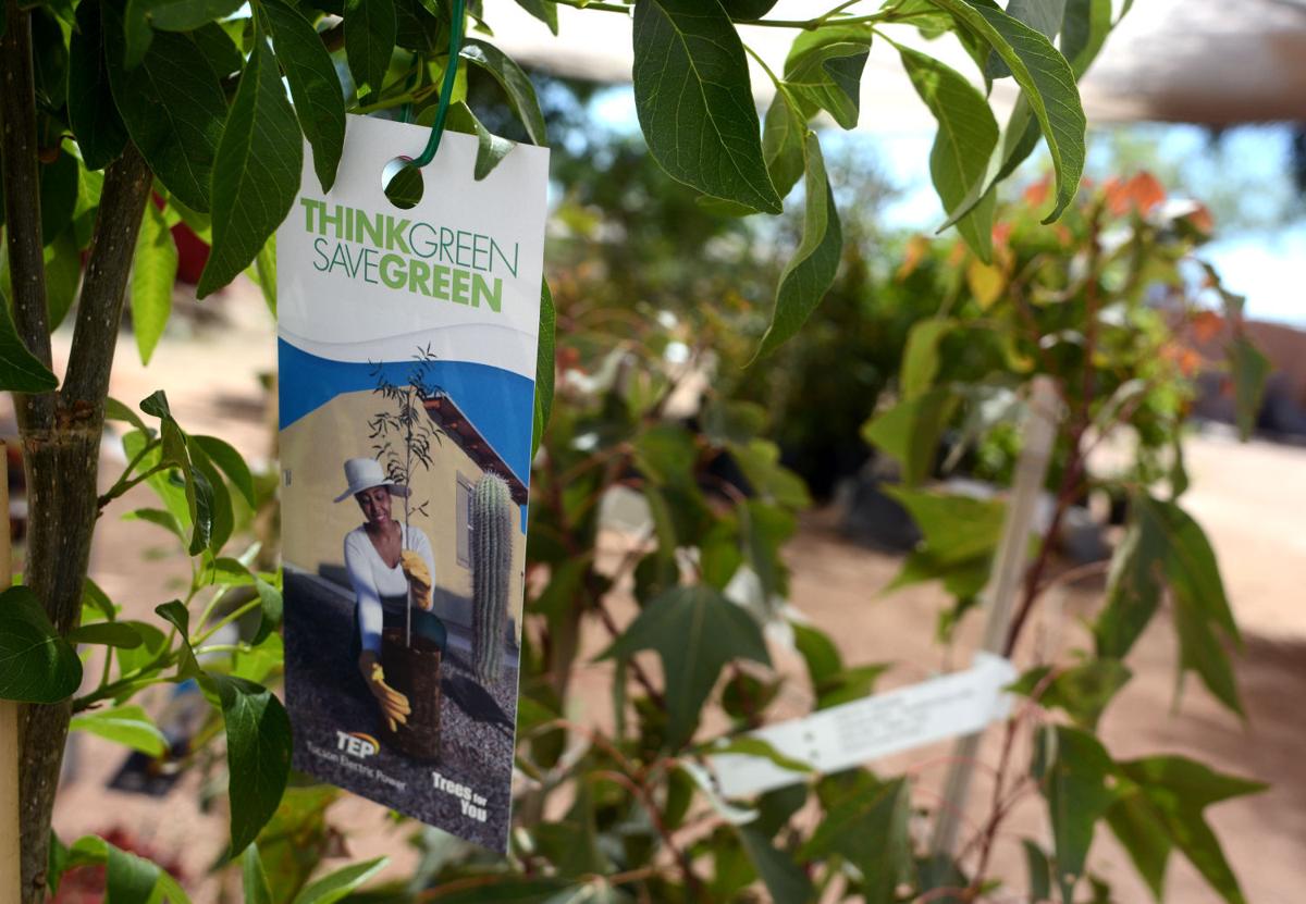 Changes made to TEP discount tree program Local news