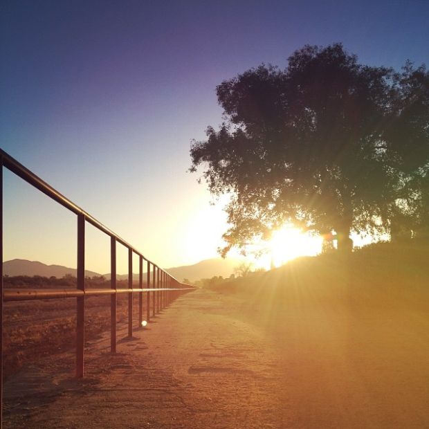 #ThisIsTucson_Feb winner