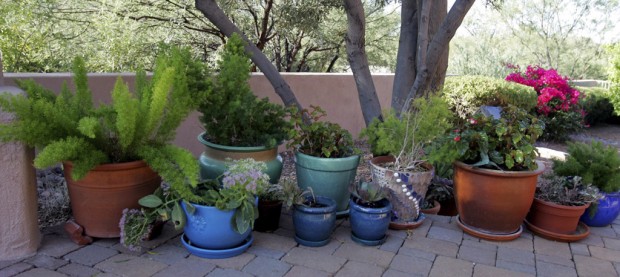 Landscape designer to share secrets for enjoying your patio in any season    