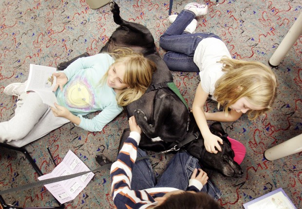 Dogs are nonjudgmental listeners to kids practicing reading skills   