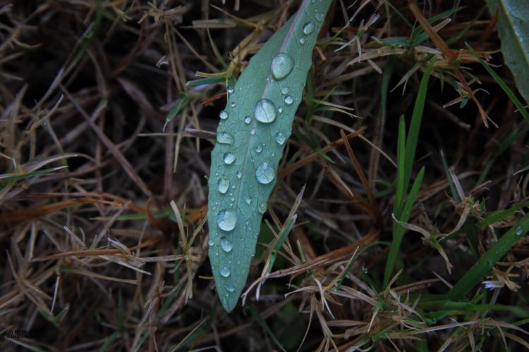 2015 Adventures in Nature photo contest