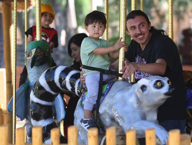 Reid Park Zoo carousel