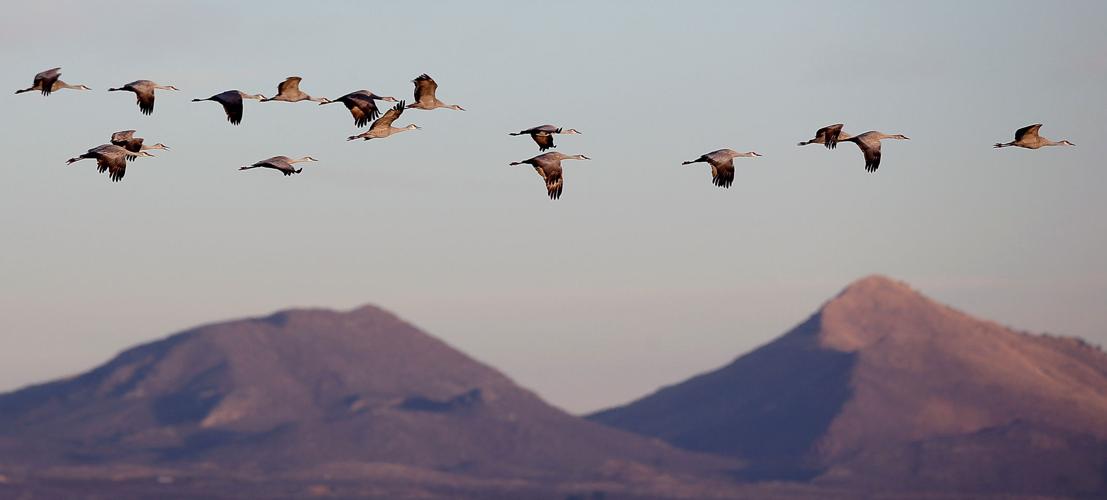 2017 Wings Over Willcox