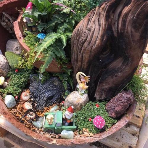 Fairy Garden Class Green things