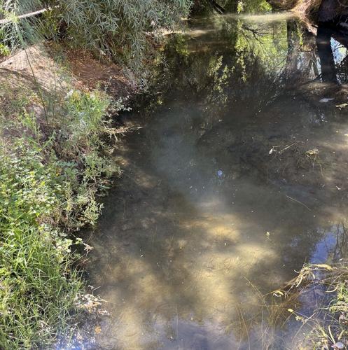 Tim Steller's column: Credibility lost along with water in serious Tucson leak