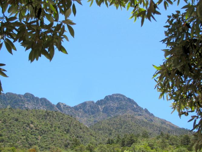 Mount Wrightson - 9,453 feet