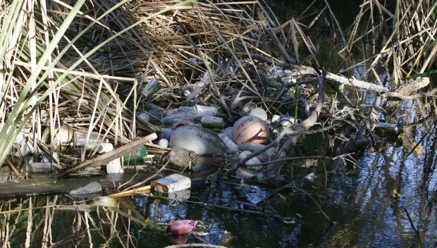 Never-ending story: Trash from wash migrates into park   