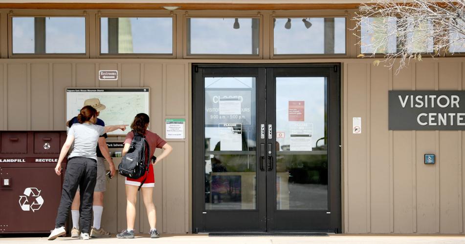 Saguaro National Park