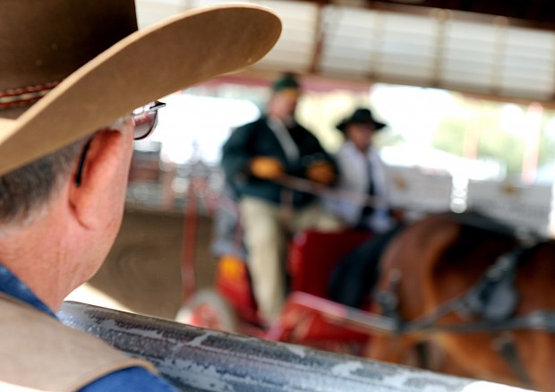 Expo aims to bring horse lovers together   