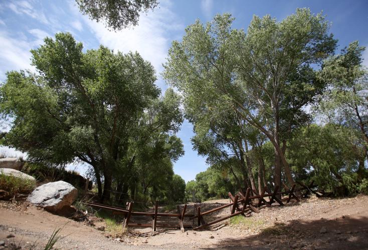 San Pedro River National Conservation Area