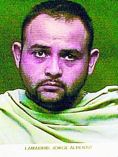 11,000 pounds of pot seized  