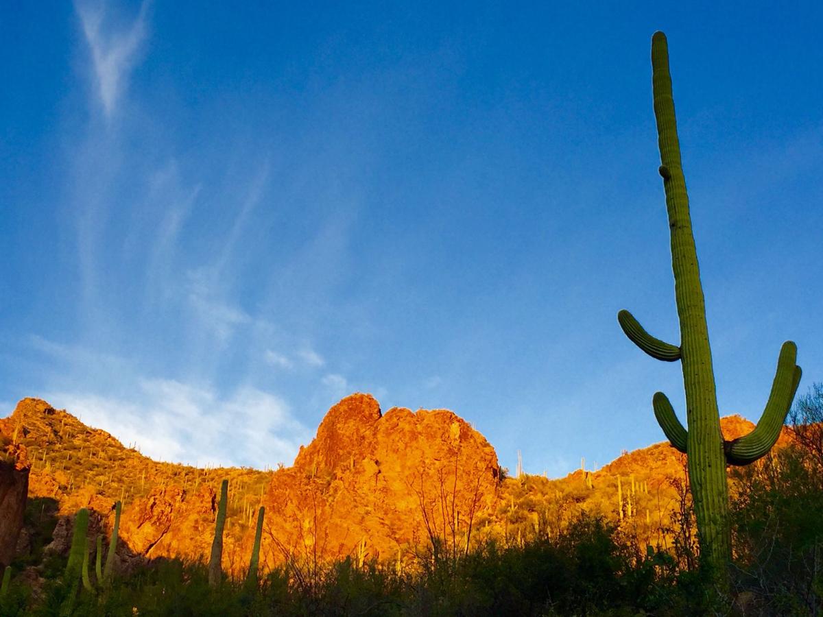 Tucson weather Sunny skies and cooler temperatures
