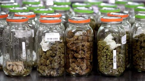 Activist ends initiative drive against Arizona's recreational marijuana law