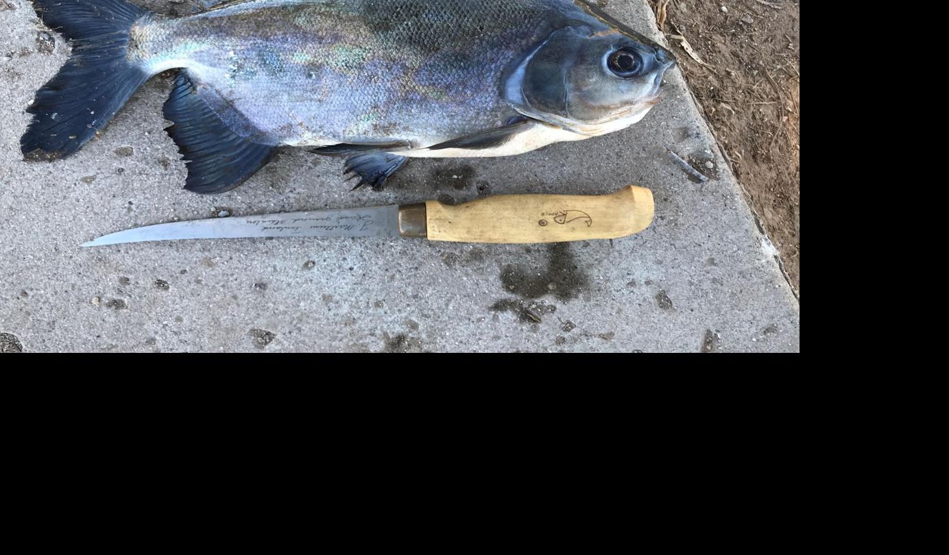 A Tucson fisherman hoping to catch trout at Silverbell Lake hooked this