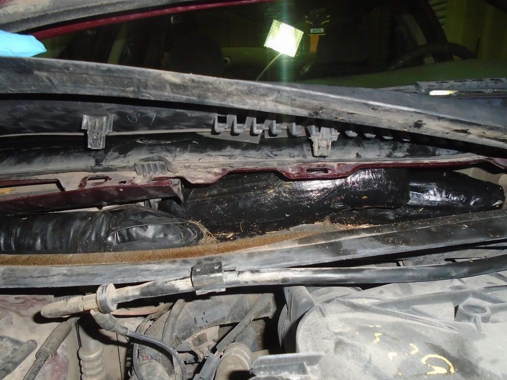 TUcson woman arested