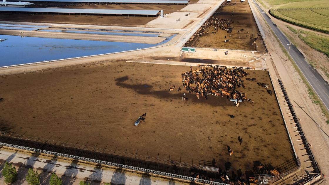 Overpumping Ramp Deal will reduce groundwater overpumping in southeast Arizona