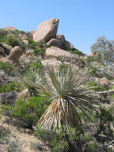 Oracle State Park scenery