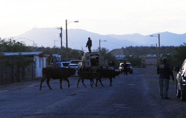 Tohono police take down cocaine smuggling ring