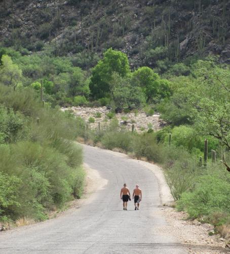 Sabino Canyon walkers