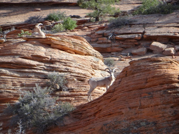 National Park Travel Photo Contest entries