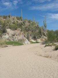 Autumn in Tucson: Go take a hike