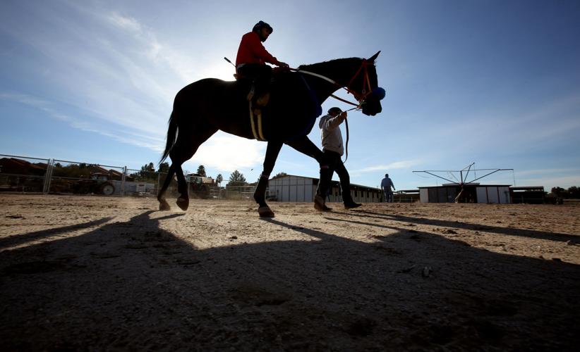 Horse racing returns to Rillito Park