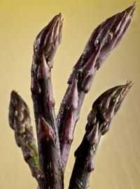 Dry asparagus prompts questions about racial discrimination in St. Louis