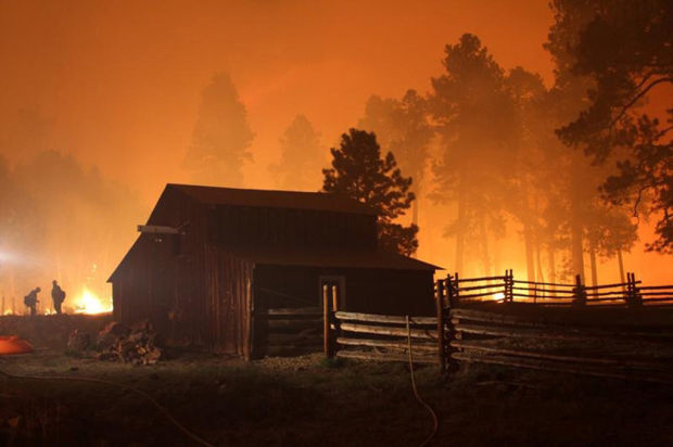 Yarnell hotshots helped save NM preserve's headquarters    