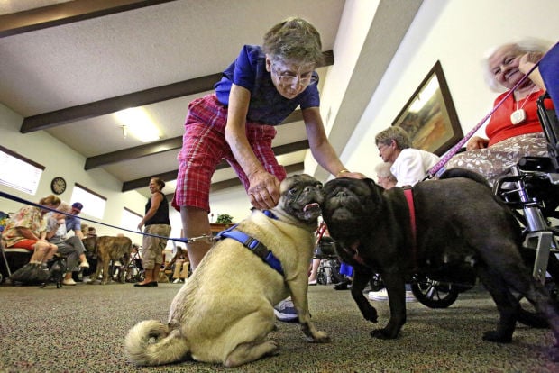 Dog Show at Sherwood Village
