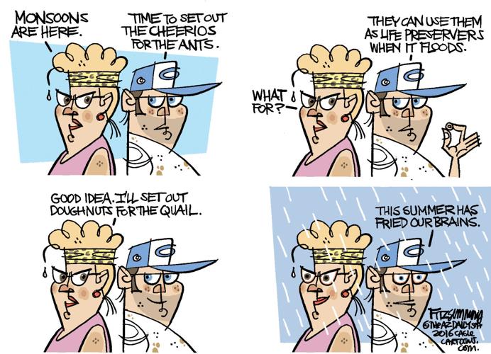 Daily Fitz Cartoon: Summer