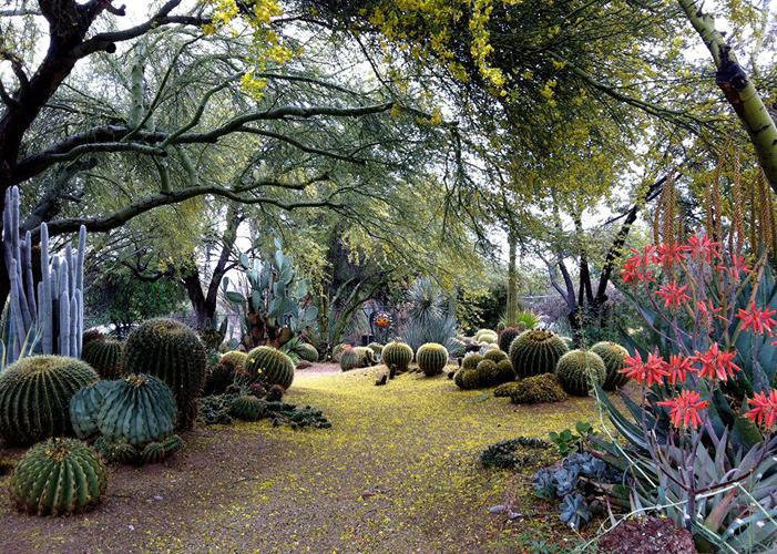 front-garden.jpg